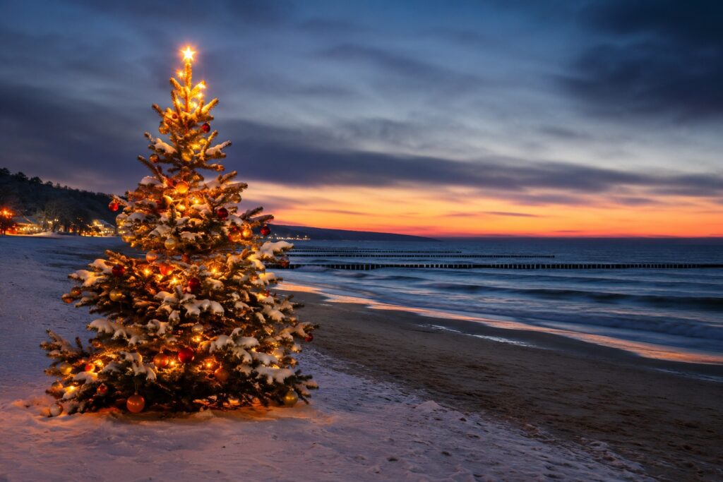 Pakiet świąteczny w terminie 24.12 - 27.12.2026